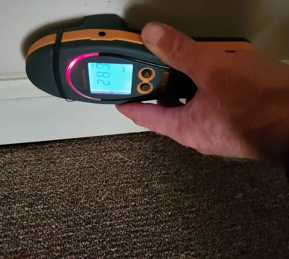 Moisture detection at baseboard during Sewage Cleanup & Sanitation in Dacula